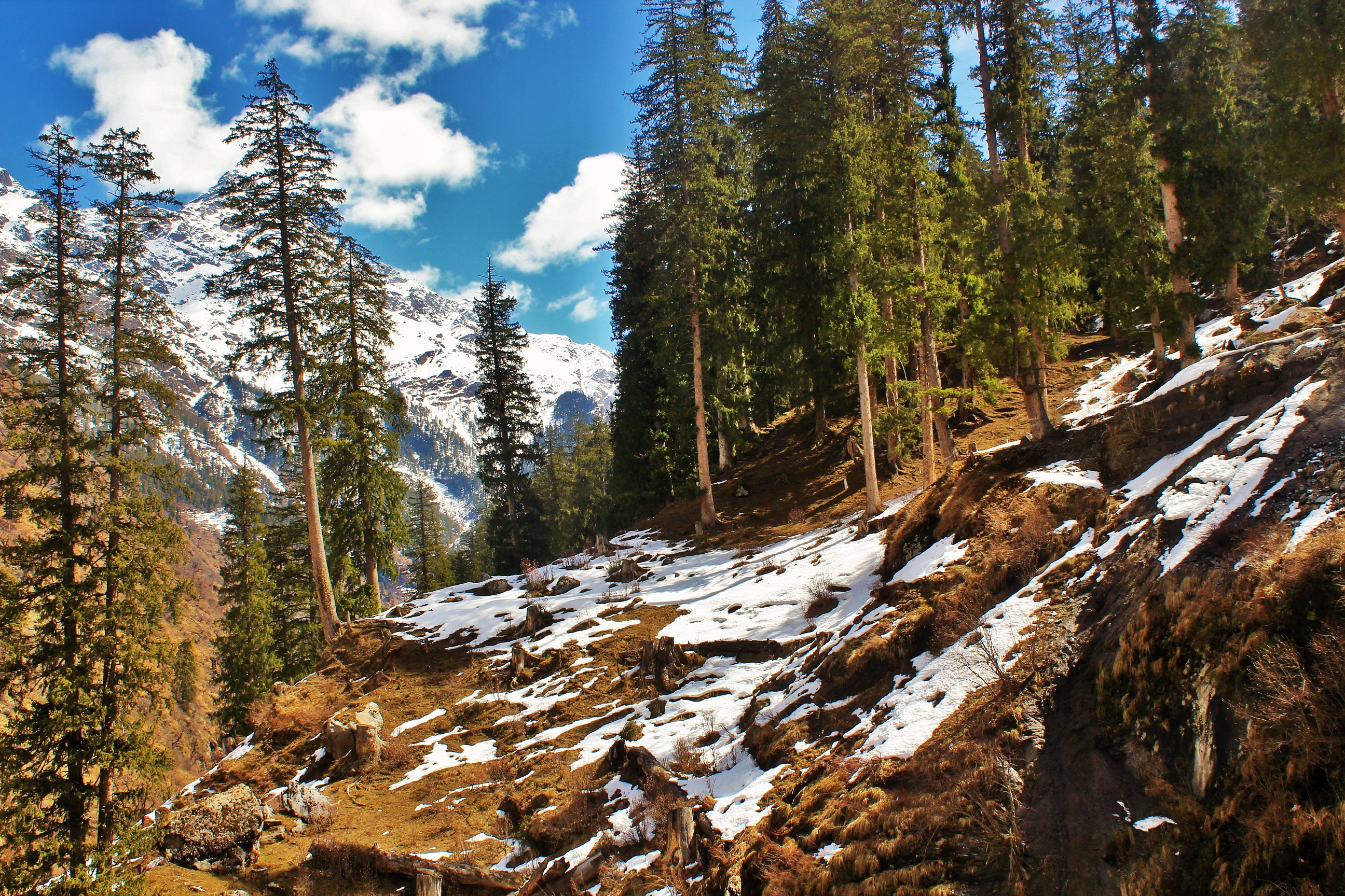 Parvati-Valley-Trek-Himachal_1455707368